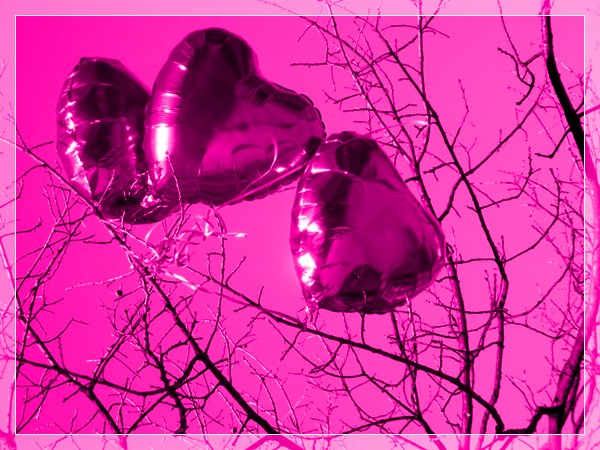 1402 FB Herzen in pink
